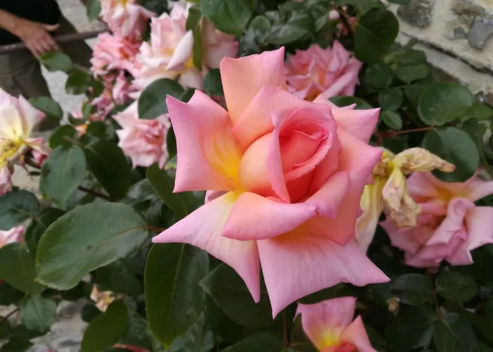 Ferienvilla Haus Louise By Interhome Holiday home